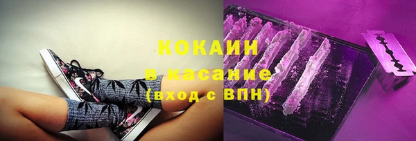 шишки Алзамай