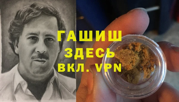 шишки Алзамай