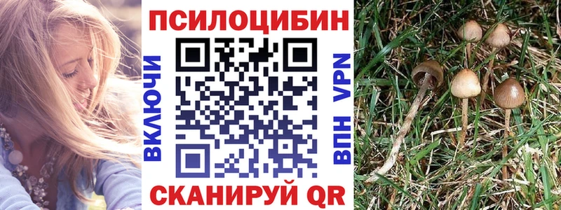 Галлюциногенные грибы Cubensis  Шумиха 